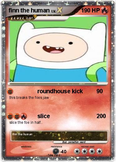 Pokemon finn the human