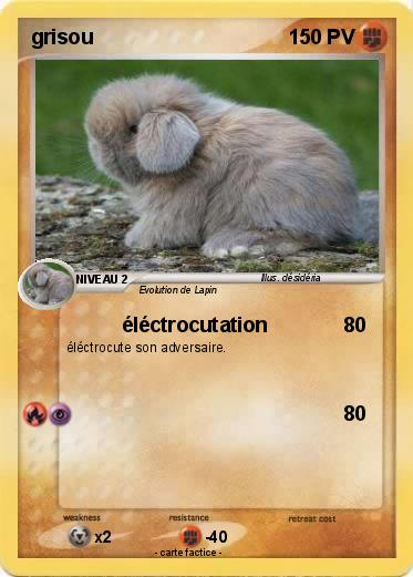 Pokemon grisou