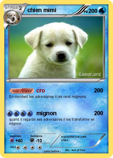Pokémon chien mimi 5 5 - cro - Ma carte Pokémon