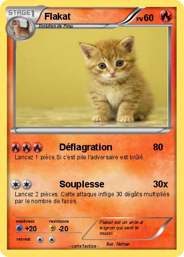 Pokemon Flakat