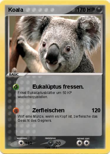 Pokemon Koala