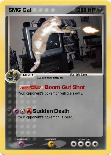 Pokemon SMG Cat