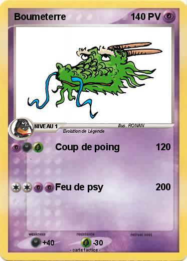 Pokemon Boumeterre