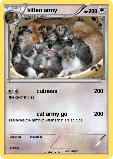 Pokemon kitten army