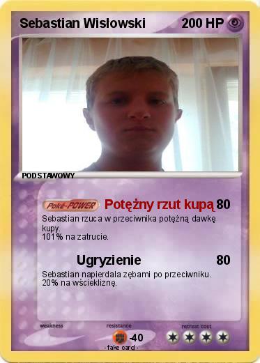 Pokemon Sebastian Wisłowski