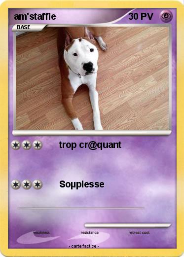 Pokemon am'staffie