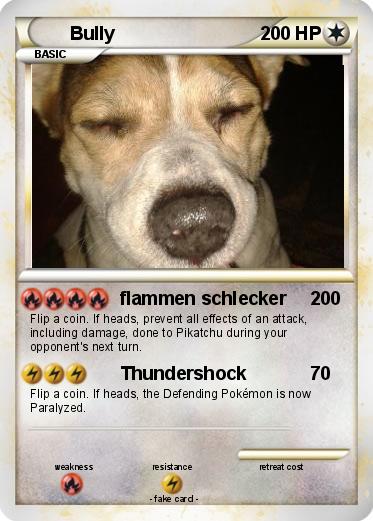Pokemon Bully