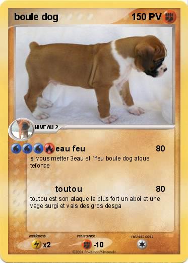 Pokemon boule dog