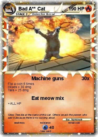 Pokemon Bad A** Cat
