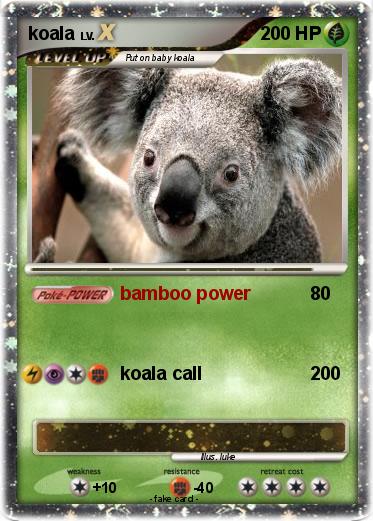 Pokemon koala