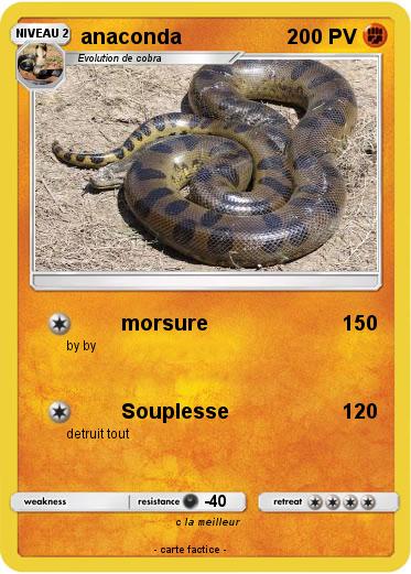 Pokemon anaconda