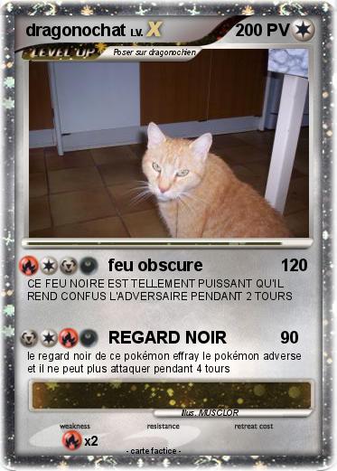 Pokemon dragonochat