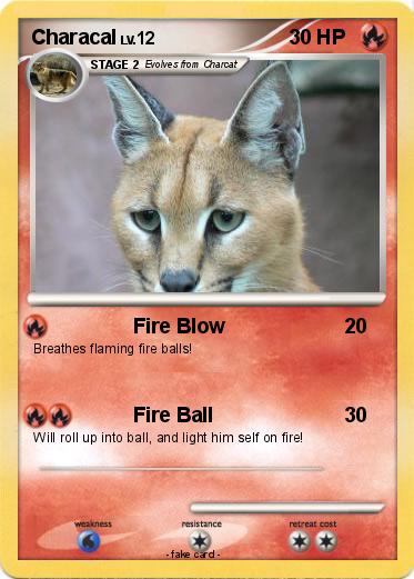 Pokemon Characal