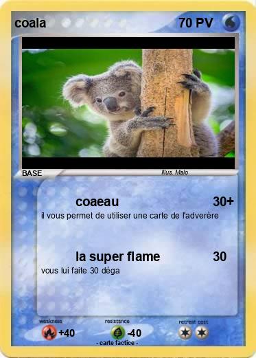 Pokemon coala