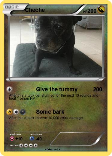 Pokemon Cheche
