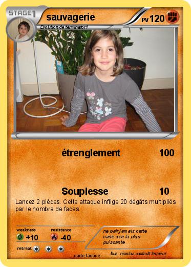 Pokemon sauvagerie