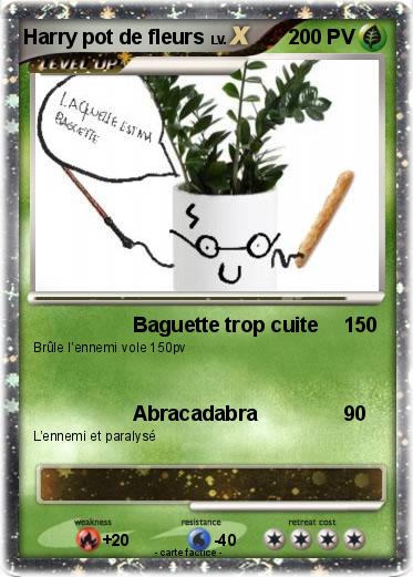 Pokemon Harry pot de fleurs