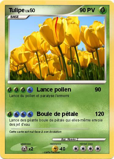 Pokemon Tulipe