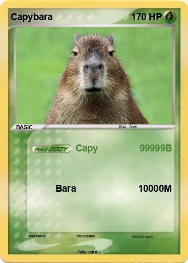 Pokemon Capybara