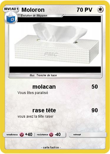 Pokemon Moloron