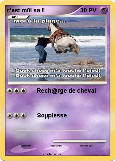 Pokemon c'est m0i sa !!