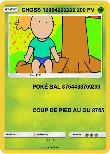Pokemon CHOSS 12994222222