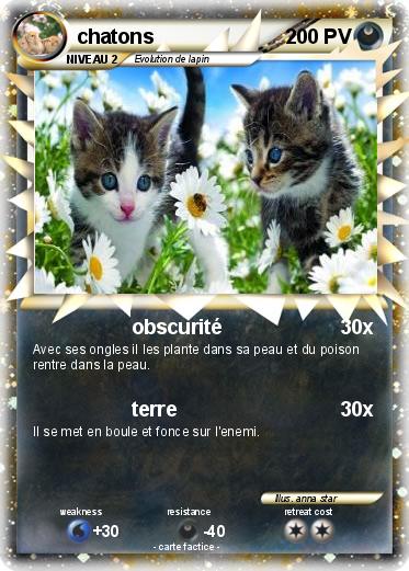 Pokemon chatons