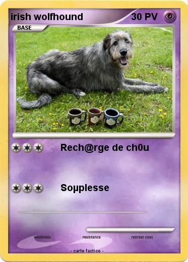 Pokemon irish wolfhound