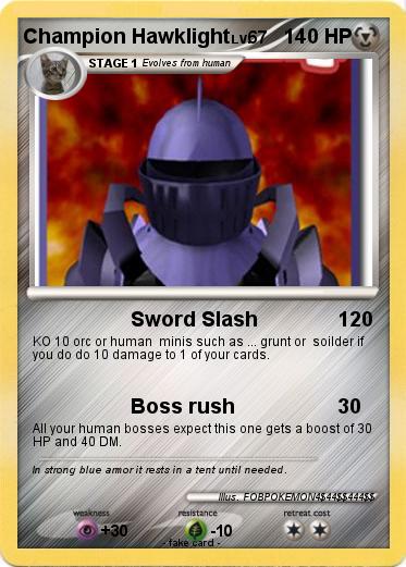 Pokemon Champion Hawklight