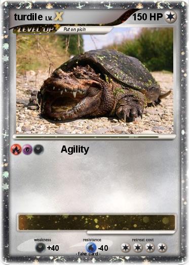 Pokemon turdile