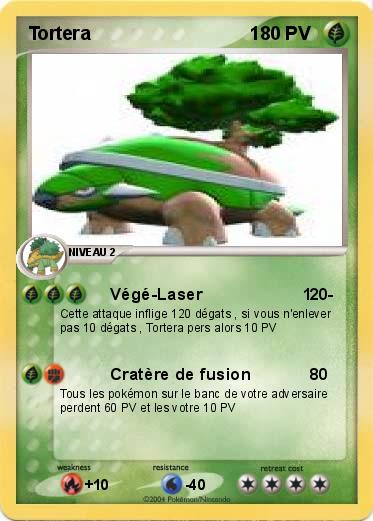 Pokemon Tortera                               1
