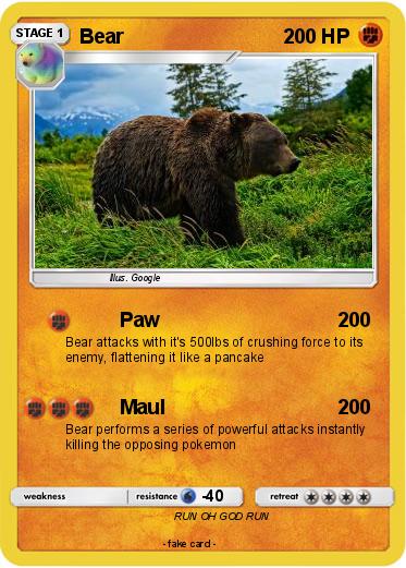 Pokemon Bear