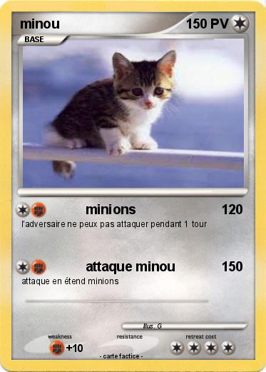 Pokemon minou