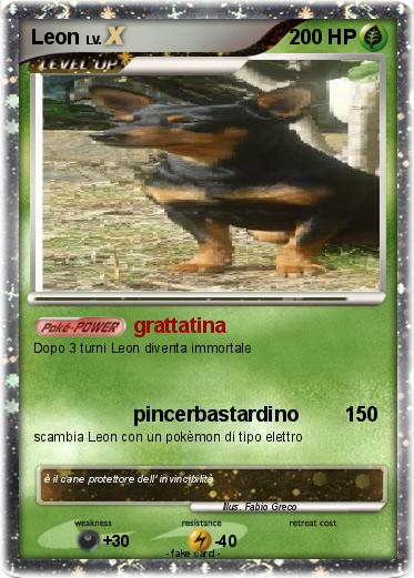 Pokemon Leon