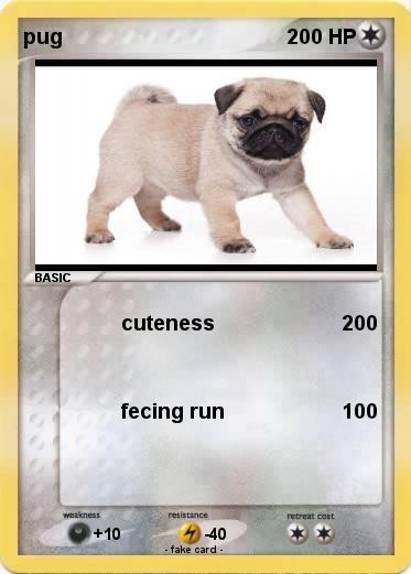 Pokemon pug