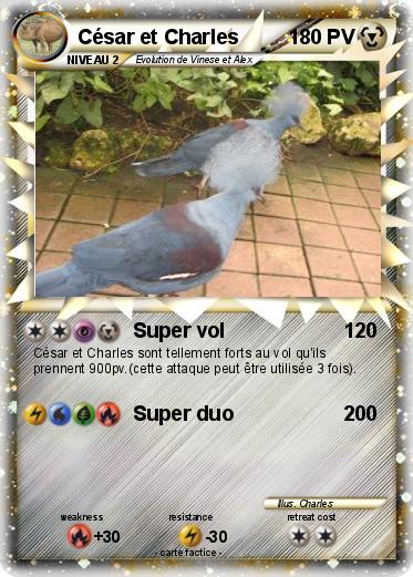 Pokemon César et Charles