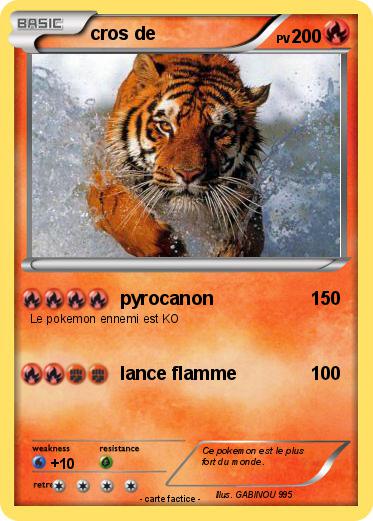 Pokemon cros de