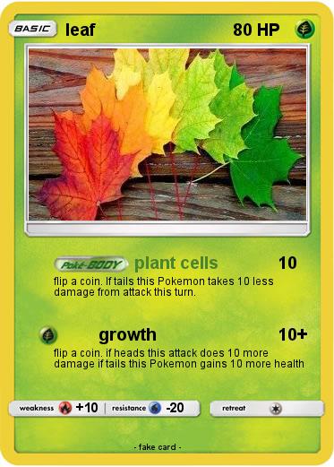 Pokemon leaf