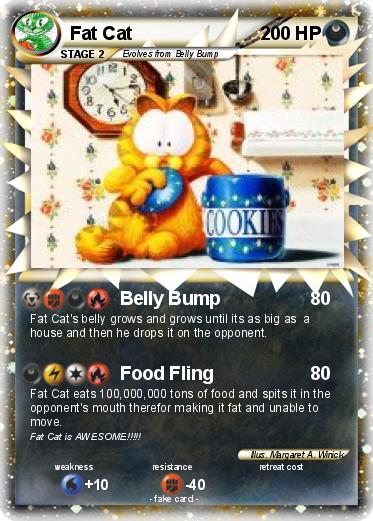 Pokemon Fat Cat