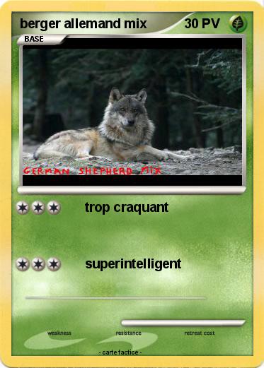 Pokemon berger allemand mix
