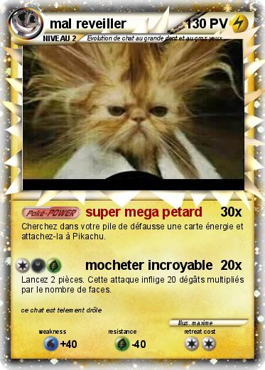 Pokemon mal reveiller