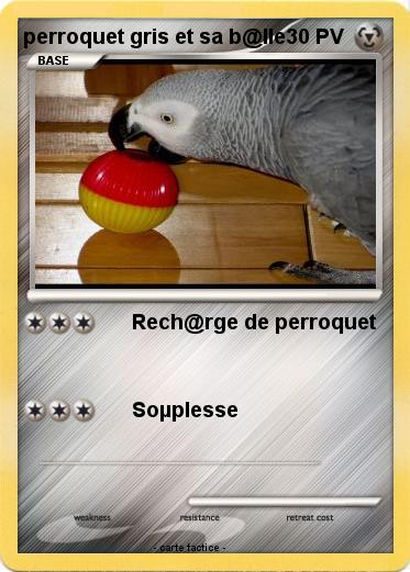 Pokemon perroquet gris et sa b@lle
