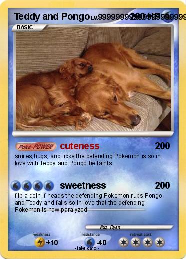 Pokemon Teddy and Pongo