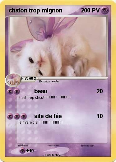 Pokemon chaton trop mignon
