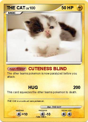 Pokemon THE CAT
