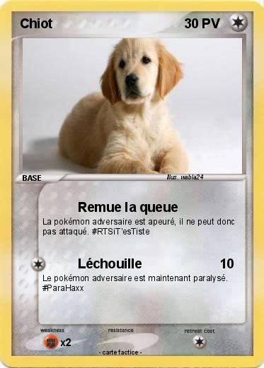 Pokemon Chiot