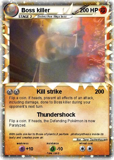 Pokemon Boss killer
