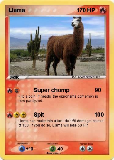 Pokemon Llama                                 1