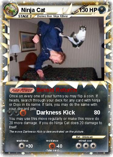 Pokemon Ninja Cat