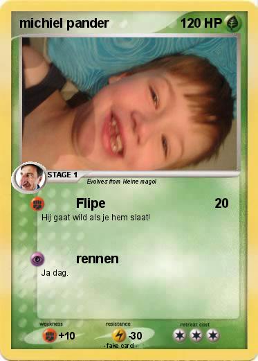 Pokemon michiel pander